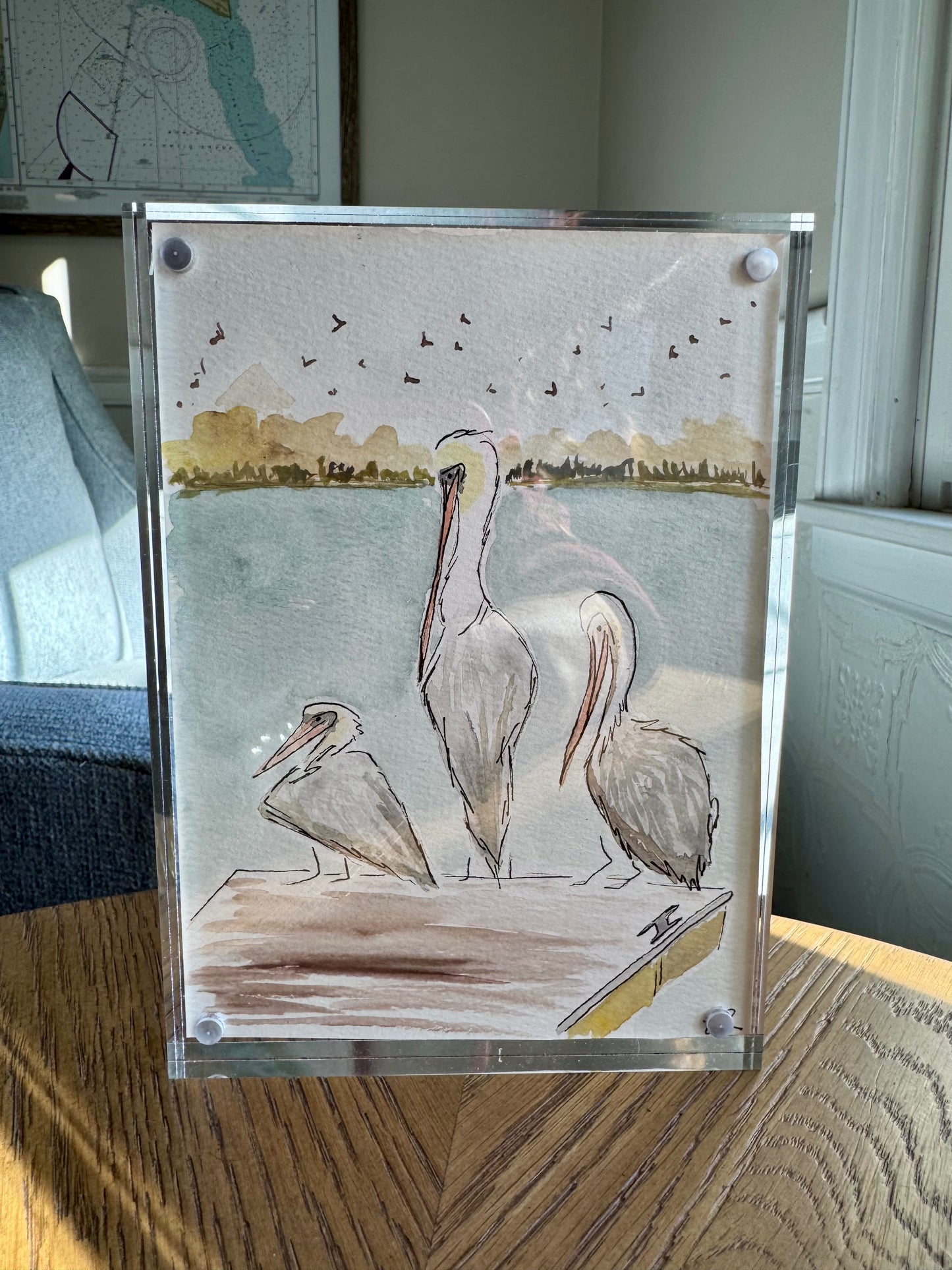 Three Pelicans – Original 5×7 Watercolor (Framed)
