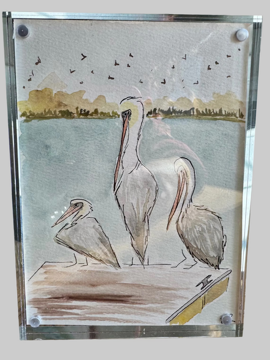 Three Pelicans – Original 5×7 Watercolor (Framed)