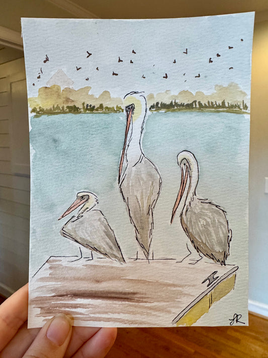 Three Pelicans – Original 5×7 Watercolor (Framed)
